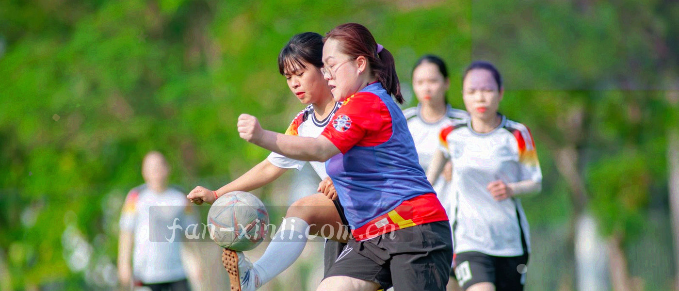 体育场看台网格与等高线叠加的抽象纹理